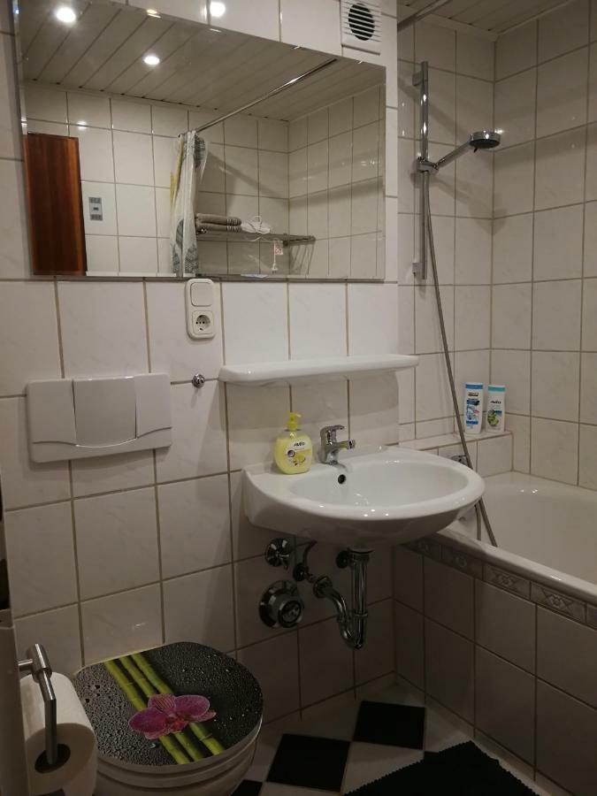 Ruhiges Apt. Direkt Am Naherholungsgebiet Mit Seeblick, Zentrum 5min, Messe 18min Apartment