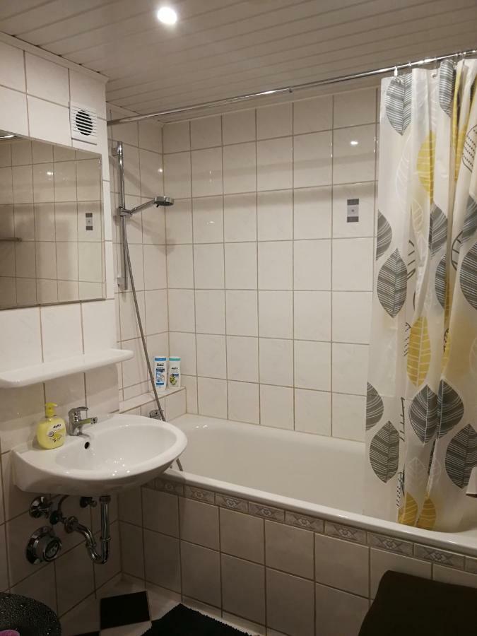 Ruhiges Apt. Direkt Am Naherholungsgebiet Mit Seeblick, Zentrum 5min, Messe 18min